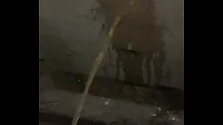 3285 solo porn videos